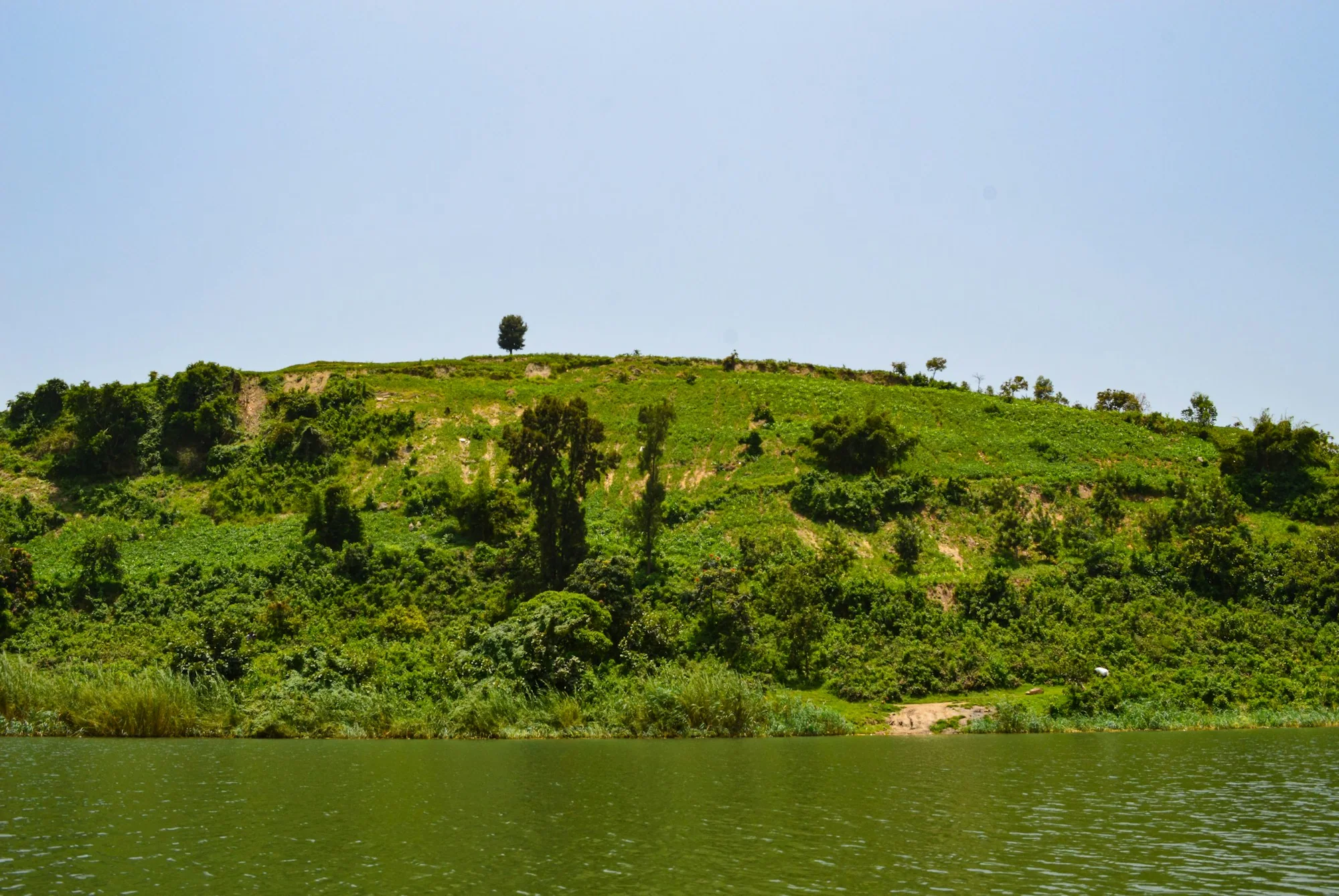 Green hillside beside Lake Kivu at Gisenyi, Rwanda